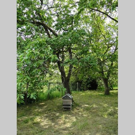 Miller'S Farm. Cottage On The Auhtie For 2 Hem-Hardinval エクステリア 写真