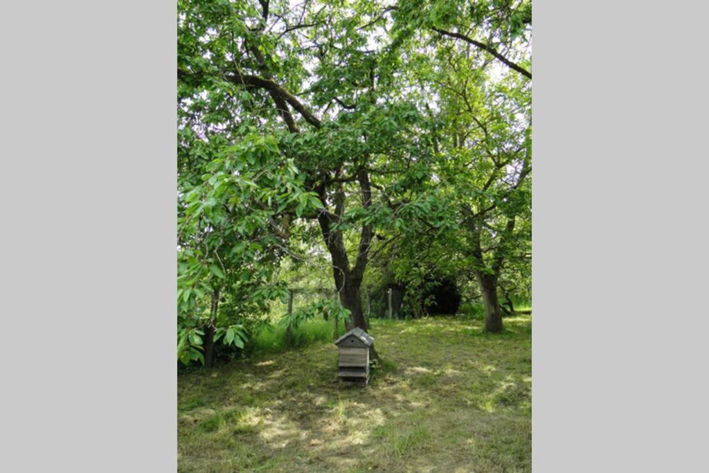 Miller'S Farm. Cottage On The Auhtie For 2 Hem-Hardinval エクステリア 写真
